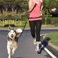 Cinturón Correa Resistente Correr Con Tu Perro Doble Gancho  - Miniatura 3
