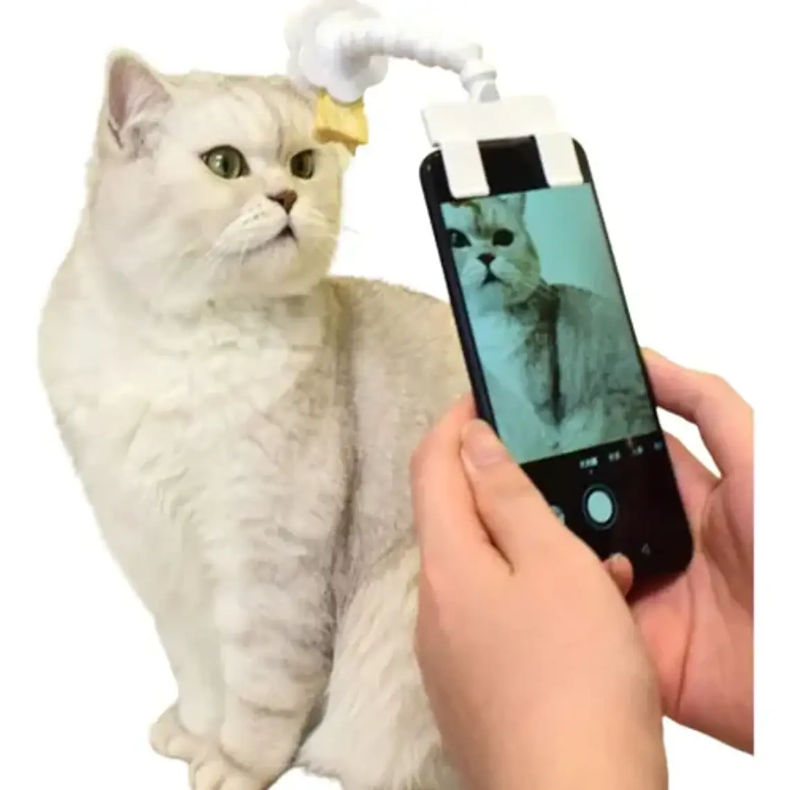 Palo Selfie Para Mascotas Perro Gato Novedad 1