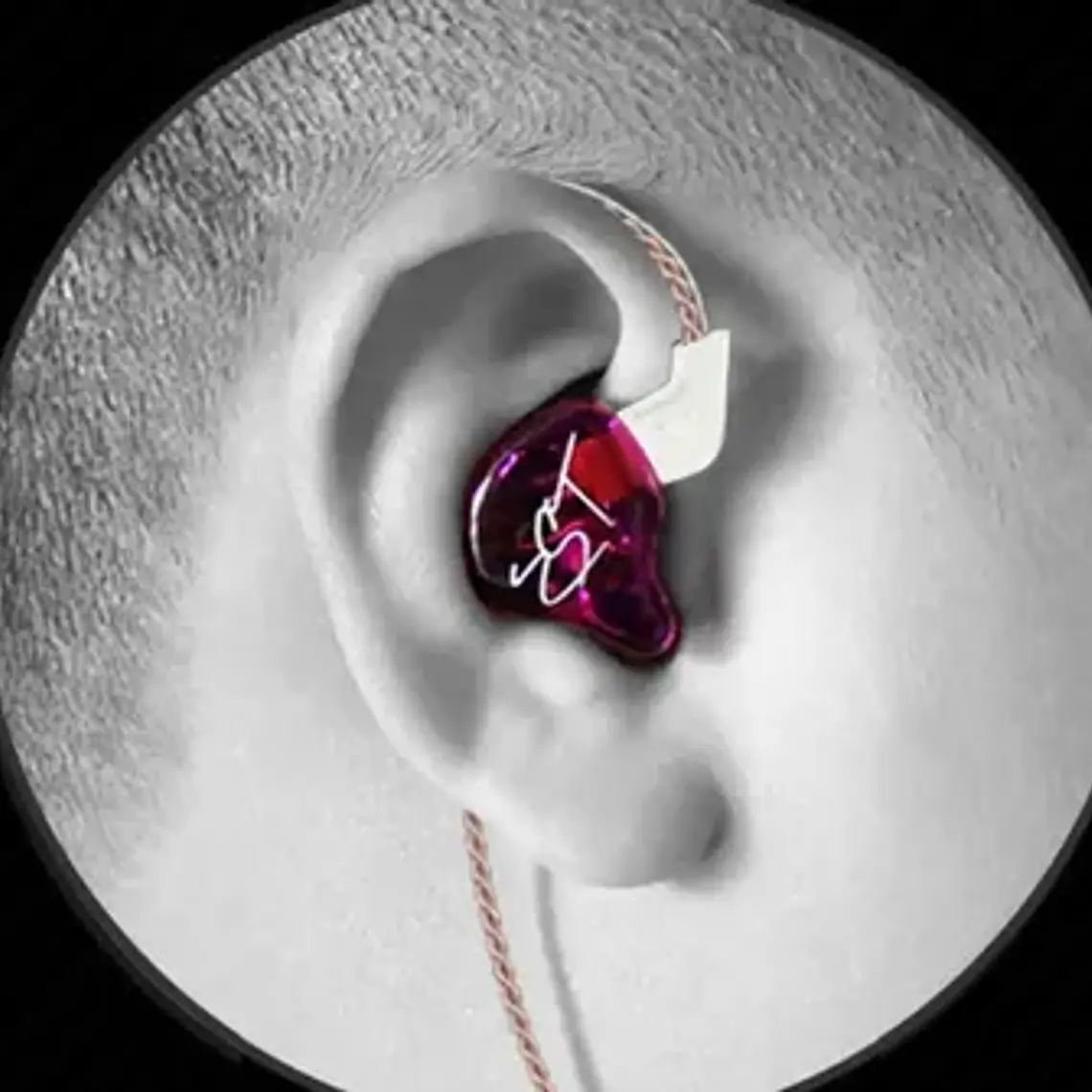 Audífonos In-ear Zst Endurance Run Impedance 10 Calidad Stgo 4