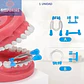 Anillo Para Matrices Preformadas Dental Tipo Palodent Stgo. - Miniatura 9