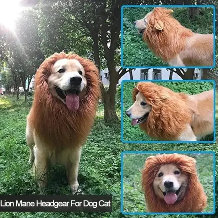 Peluca De León Para Perros Diversión Asegurada Santiago 19
