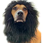 Peluca De León Para Perros Diversión Asegurada Santiago - Miniatura 21