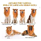 Peluca De León Para Perros Diversión Asegurada Santiago - Miniatura 28