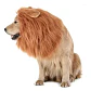 Peluca De León Para Perros Diversión Asegurada Santiago - Miniatura 39