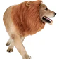 Peluca De León Para Perros Diversión Asegurada Santiago - Miniatura 48