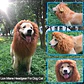 Peluca De León Para Perros Diversión Asegurada Santiago - Miniatura 61