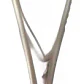 Pinza Mathieu Carburo Tungsteno Marca Pacard Dorada La Mejor - Miniatura 4