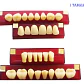 Tableta De Dientes De Acrílico Marche Posteriores Inferiores - Miniatura 2