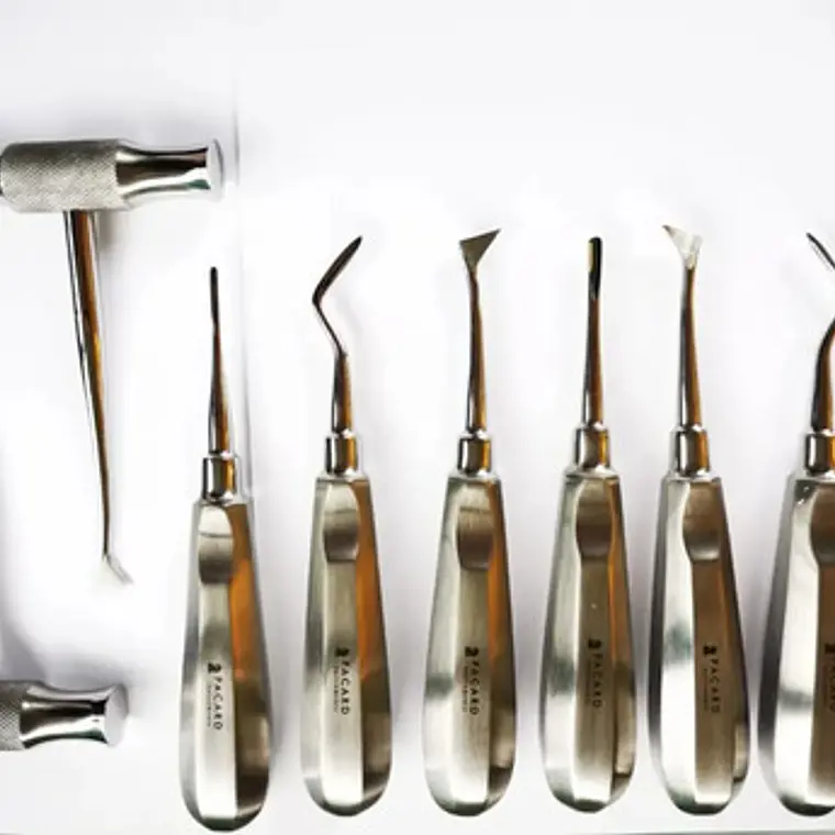 Set Elevadores Dentales Premium Marca Pacard Con Winter En T 2