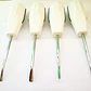 Set Elevadores Dentales X 8 Unidades Mango Ergonómico - Miniatura 4