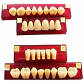 Tableta De Dientes De Acrílico Marche Posteriores Superiores - Miniatura 3