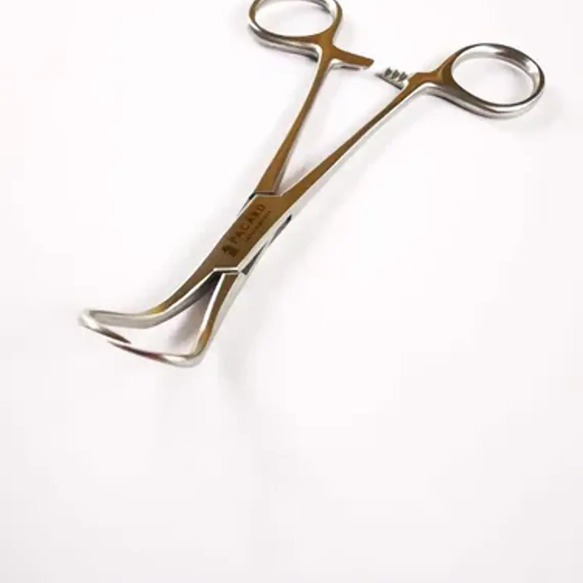 Pinza Backhouse Forcep Premium Original Marca Pacard Medidas 3