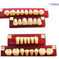 Tableta De Dientes De Acrílico Marche Anteriores Superiores - Miniatura 32