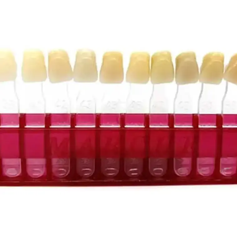 Muestrario De Colores Dental Para Dientes Marche 1