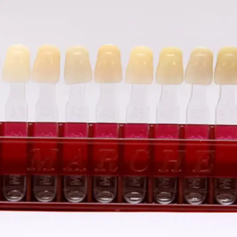 Muestrario De Colores Dental Para Dientes Marche 4