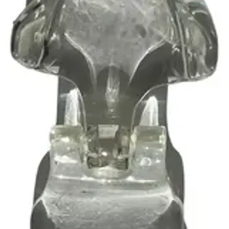 Modelo Dental Veterinario Gato Dentición Felinacalidad 4