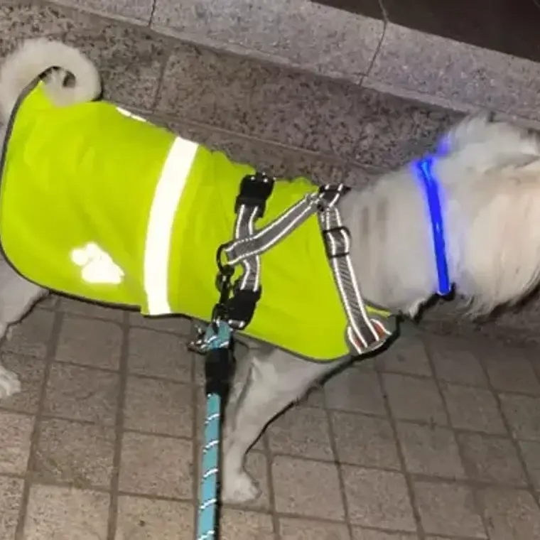 Chaleco Reflectante Paseo Seguro Mascota Perros Fluorescente 10