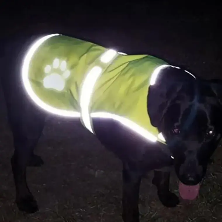 Chaleco Reflectante Paseo Seguro Mascota Perros Fluorescente 19