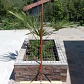 Escobillón Municipal Xxxl 80 Cms Soportes De Metal Calidad - Miniatura 7