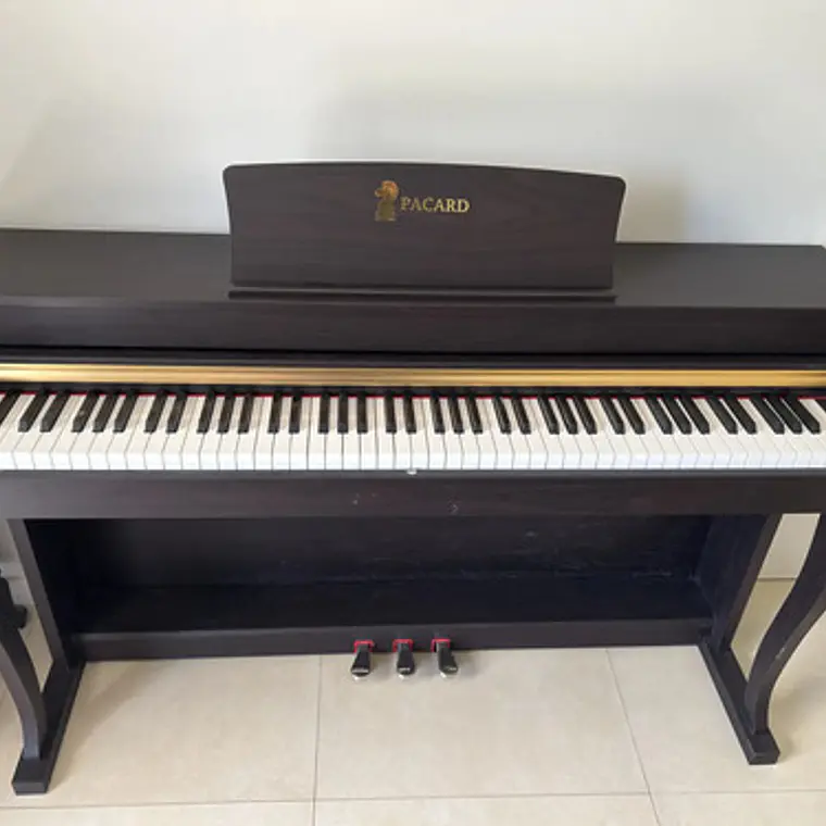Piano Digital Pacard Realista 88 Teclas Madera Usb 12
