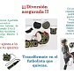 Cinturón Entrenamiento Futbol Deporte Juego Niños Santiago - Miniatura 10