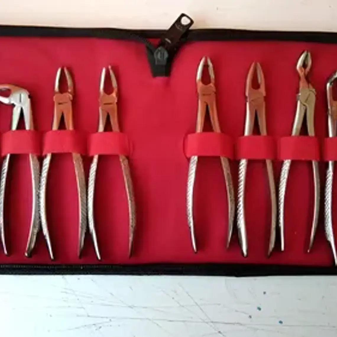 Fórceps Dentales Adultos Set De 10u Estuche Incluido 2