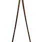 Porta Agujas Finochietto Premium 27cms Pacard Instruments Tc - Miniatura 4