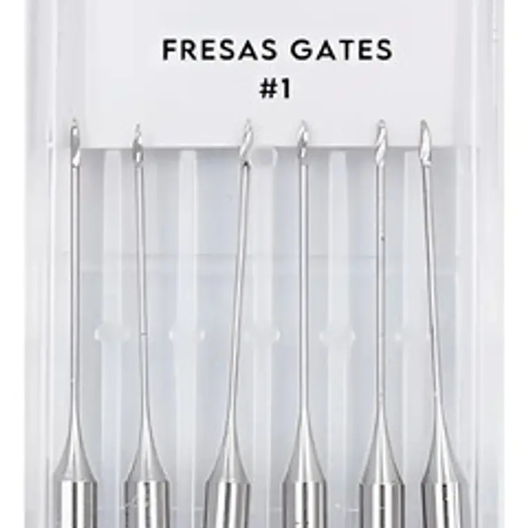 Fresas Gates Dental Endodoncia Despacho Express 1