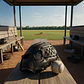 Guante De Beisbol Para Adulto Y Niños Medidas Deporte Color Negro Talla 9,5 Pulgadas - Miniatura 2