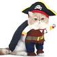 Disfraz Halloween Pirata Para Perro Gato Con Sombrero Y Capa Color Talla L - Miniatura 3