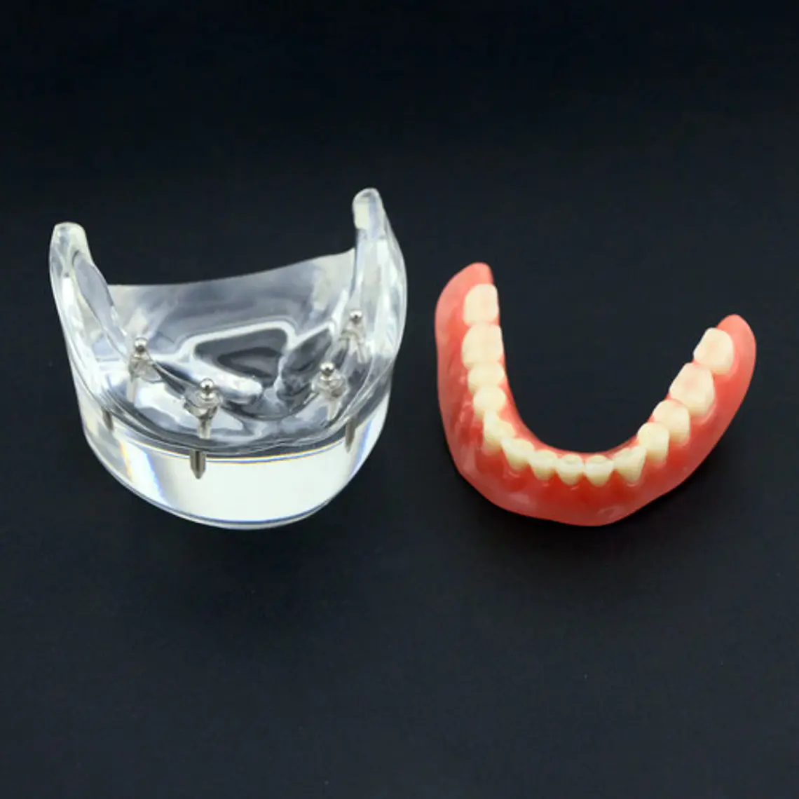 Modelo Sobre Dentadura Inferior 2 Implantes Enseñanza 7