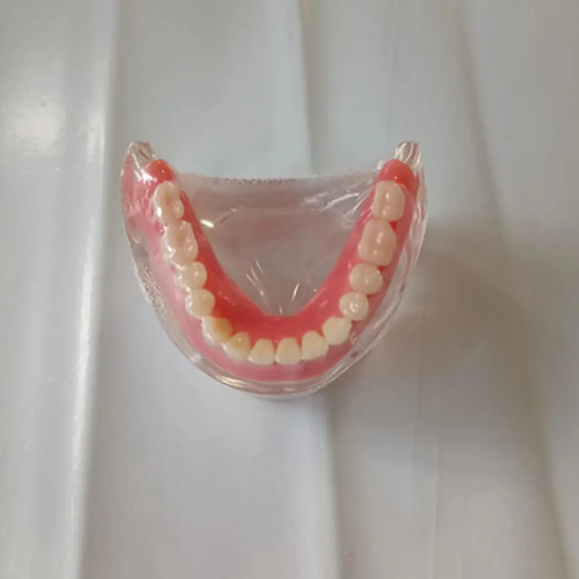 Modelo Sobre Dentadura Inferior 2 Implantes Enseñanza 8
