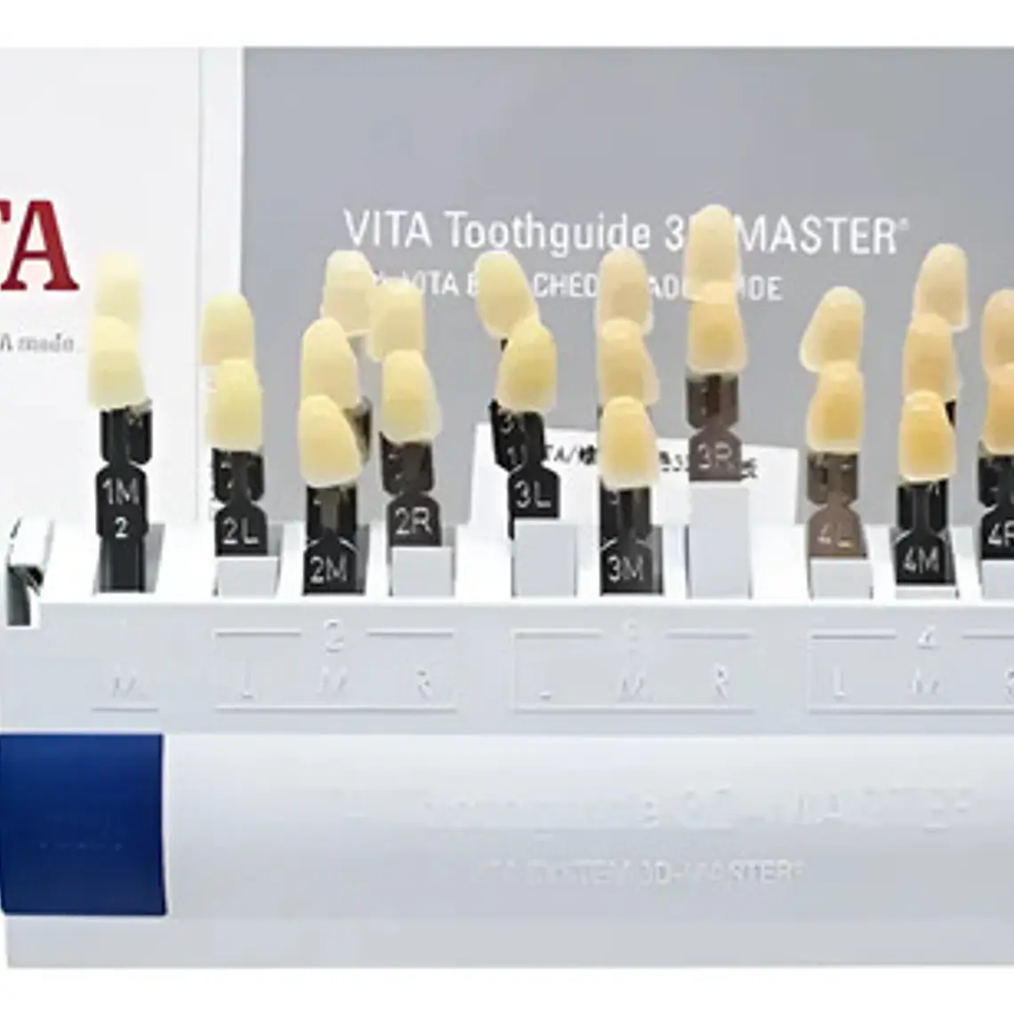 Muestrario De Colores 3d Master Vita Master Shade Vita 1