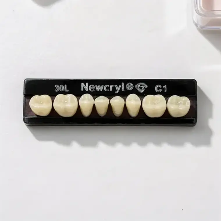 Tableta Dientes De Acrílico Newcryl 2 Capas Póstero Inferior 2