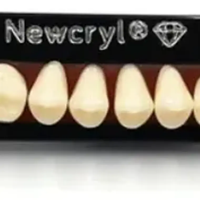 Tableta Dientes De Acrílico Newcryl 2 Capas Póstero Superior 1