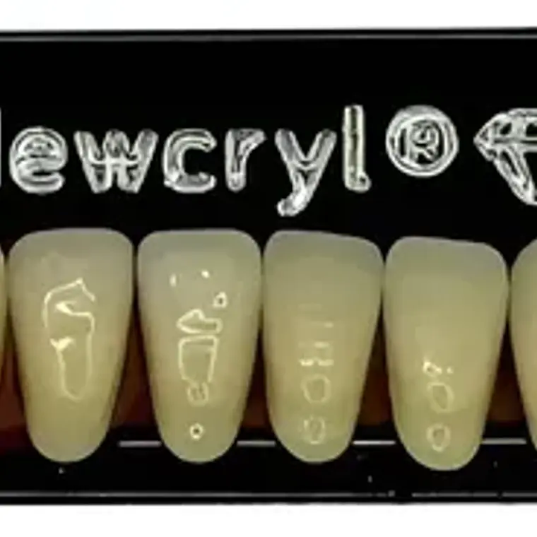 Tableta Dientes De Acrílico Newcryl 2 Capas Antero Inferior 1