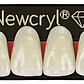 Tableta Dientes De Acrílico Newcryl 2 Capas Antero Superior - Miniatura 1