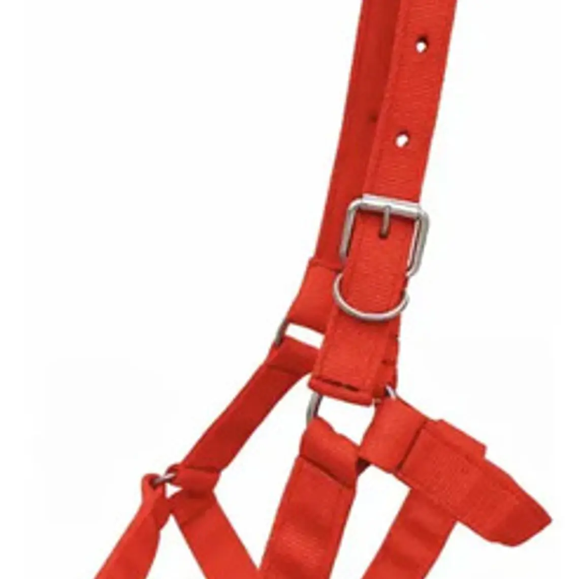 Jaquima Ajustable Para Equinos Caballos 2