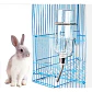 Bebedero Colgante 750 Ml Conejo Hamster Pequeñas Mascotas Xl - Miniatura 2