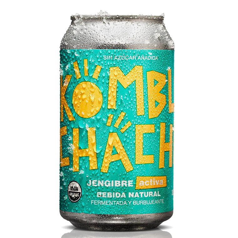 COMBUCHACHA CERO JENGIBRE LATA 355 ML - CATEDRAL 1