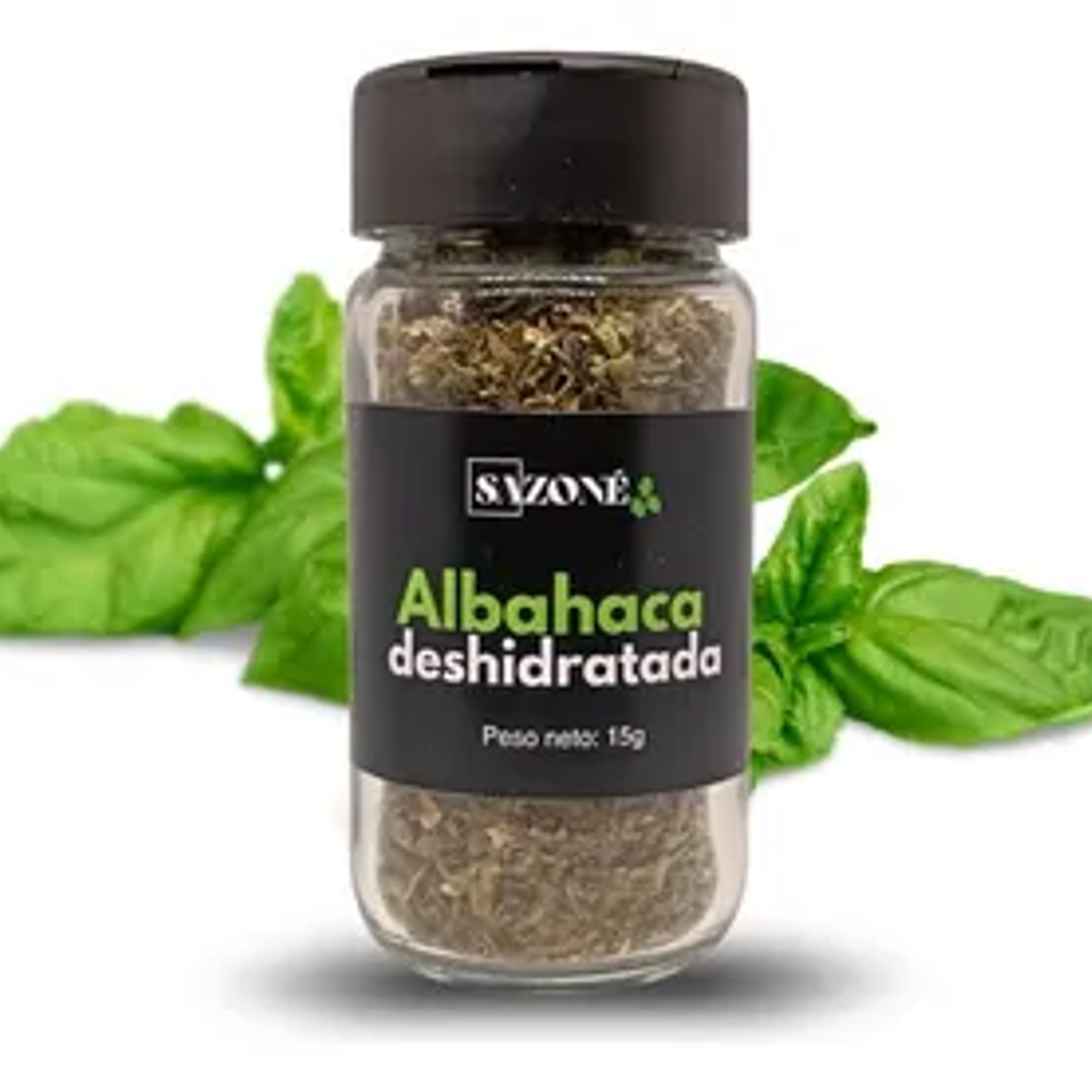 ALBAHACA - CATEDRAL  1