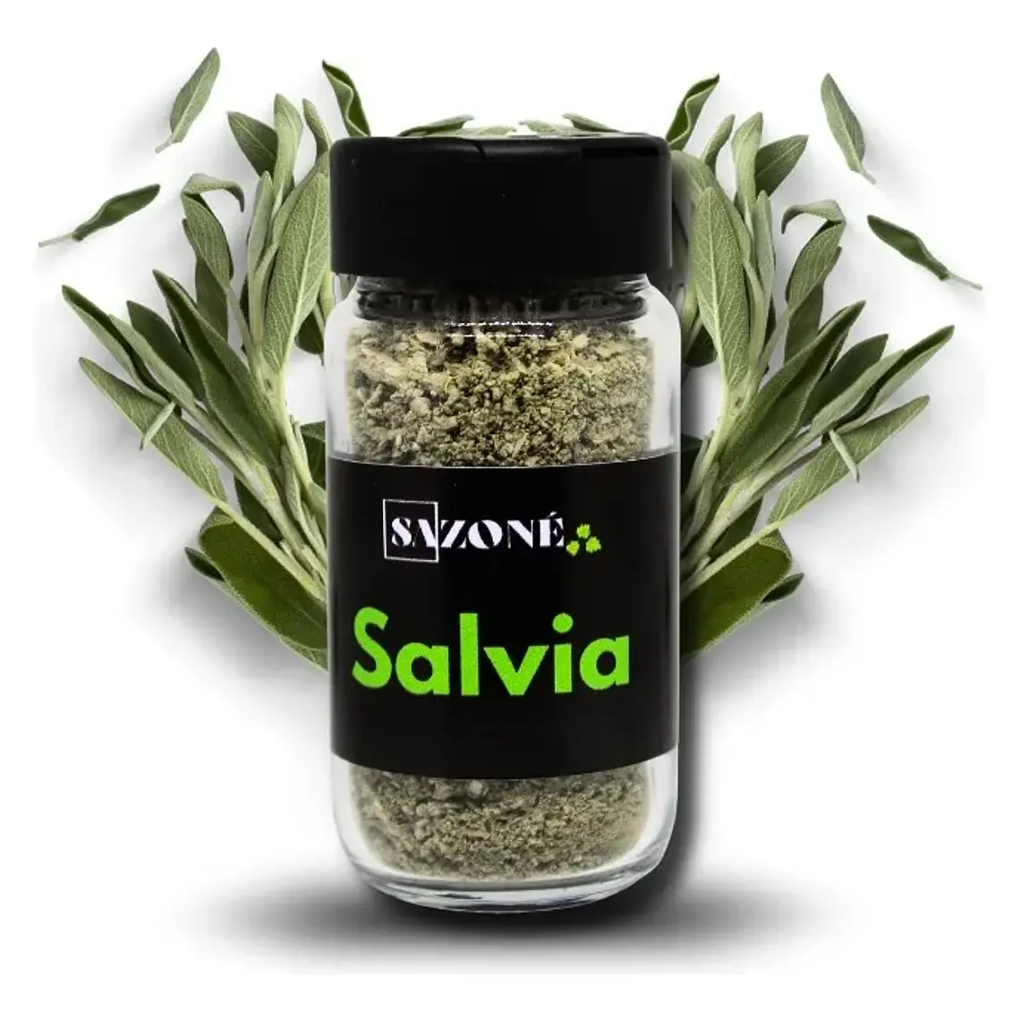 SALVIA SAZONÉ - TRAIGUEN  1