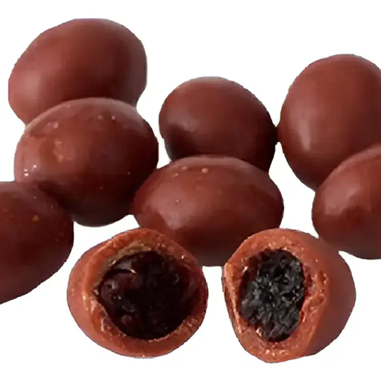 PASAS COBERTURA CHOCOLATE AL RON 100GR - TRAIGUEN 1