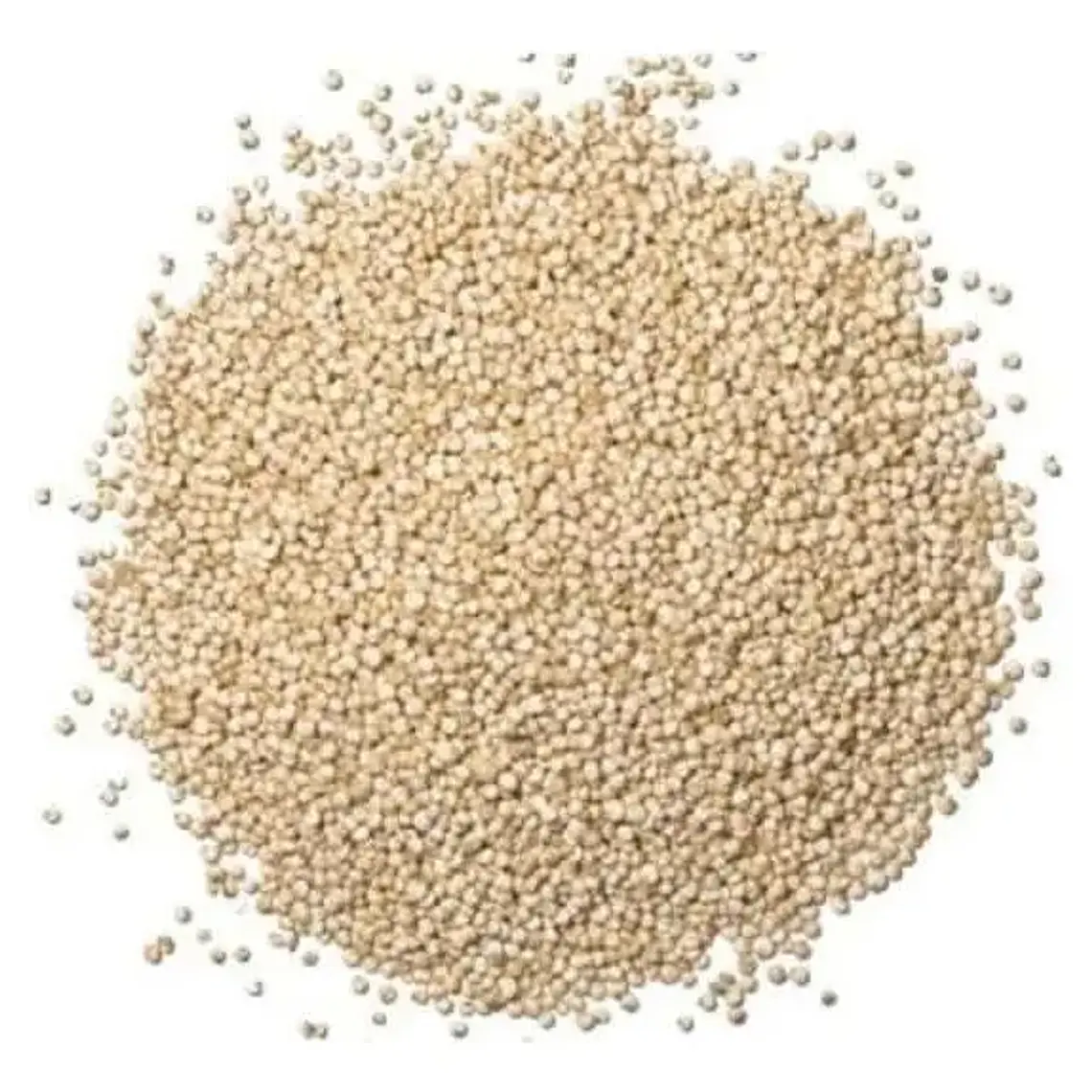 QUINOA BLANCA 100GR - TRAIGUEN  1