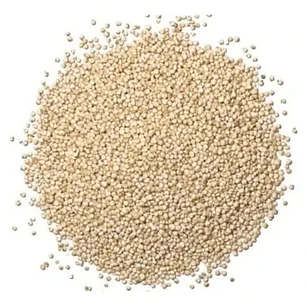 QUINOA BLANCA 100GR - TRAIGUEN 
