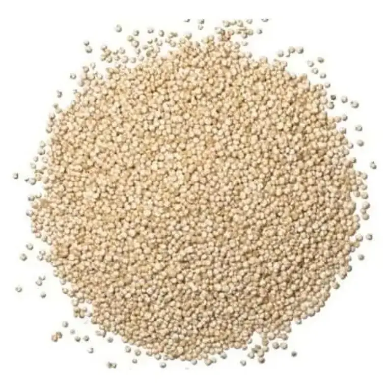 QUINOA BLANCA 100GR - TRAIGUEN  1