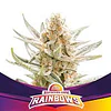 Rainbows - BSF - 2 Fem