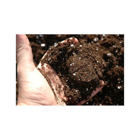 Sustrato Weedsoil Nutriweed 50 litros