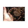  Sustrato Weedsoil Nutriweed 50 litros