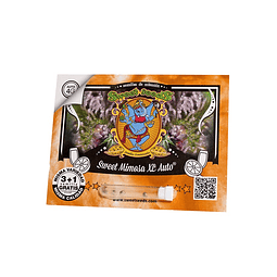 Mimosa xl Auto - Sweet Seeds - 3+1 Autofem